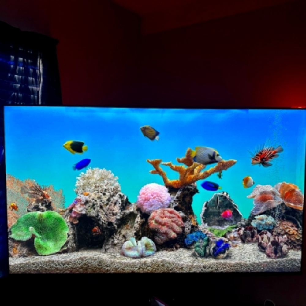 65 inch Hisense Smart Tv  with remote ( LISTING PRICE OR BEST OFFER ACCEPTED)